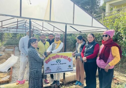 विरुवा उत्पादन र संरक्षणमा टेवा दिने मेलम्चीका दुई नर्सरी वडालाई हस्तान्तरण