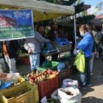 हेलम्बु अर्गानिक किवि फेस्टिबल सम्पन्न